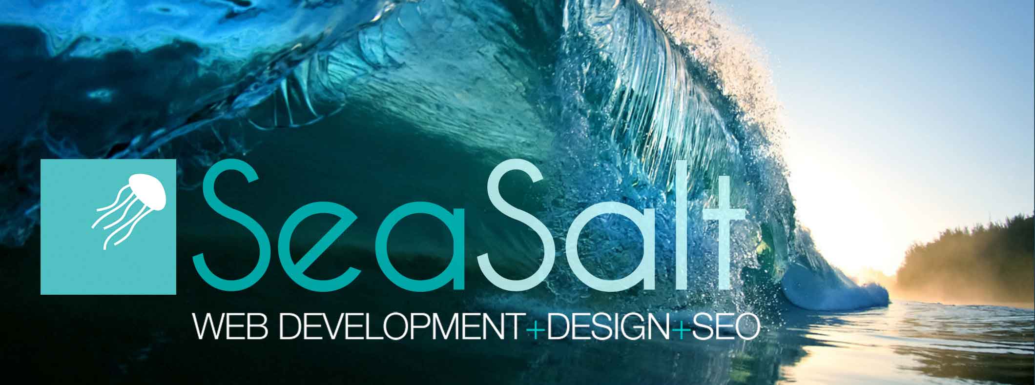 Sea Salt Web Development, Design & SEO Sydney Digital marketing Agency ocean wave